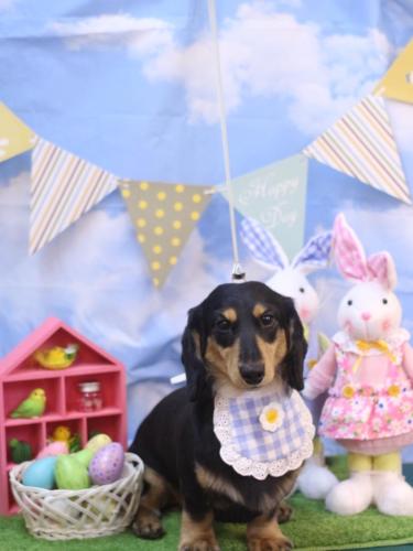 20240301おうたくん